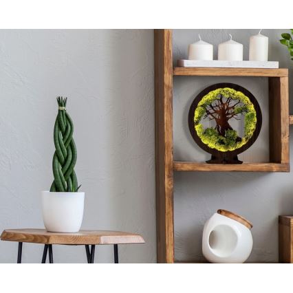 Li-Go 23604/DUB2 - димируема настолна LED декорация LED/12W/230V 20x22 cm дъб/мъх и дърво