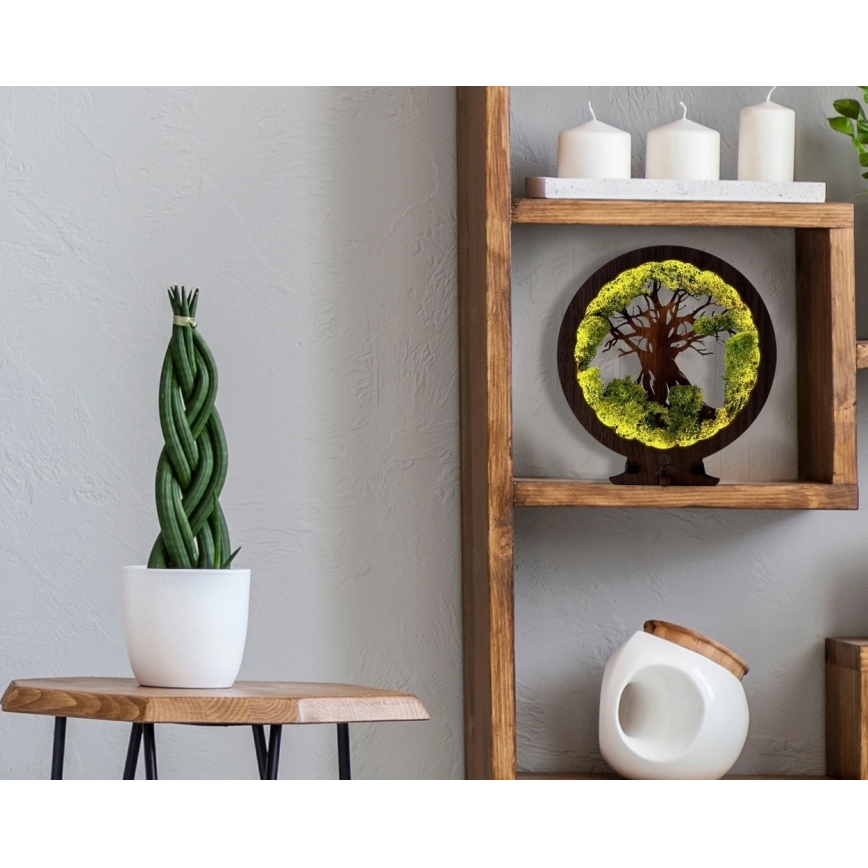 Li-Go 23604/DUB2 - димируема настолна LED декорация LED/12W/230V 20x22 cm дъб/мъх и дърво