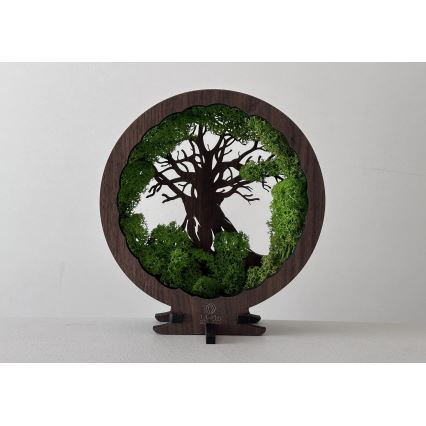 Li-Go 23604/DUB2 - димируема настолна LED декорация LED/12W/230V 20x22 cm дъб/мъх и дърво
