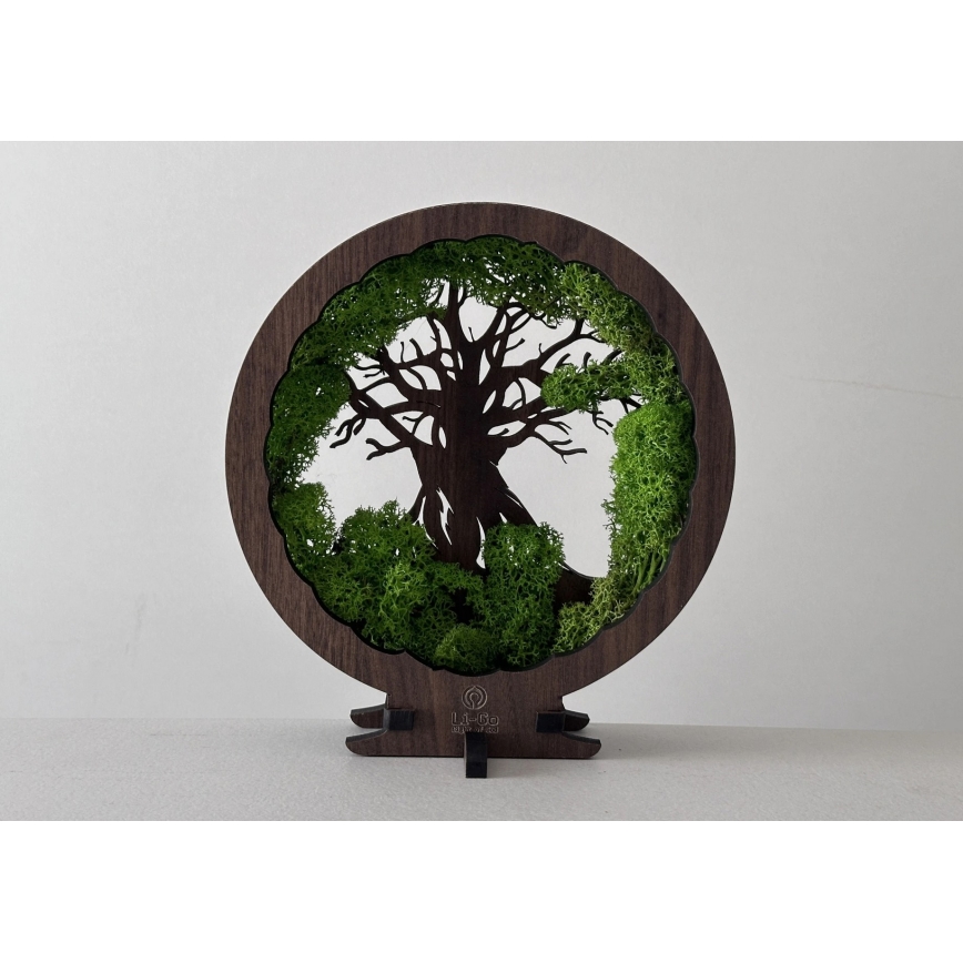 Li-Go 23604/DUB2 - димируема настолна LED декорация LED/12W/230V 20x22 cm дъб/мъх и дърво