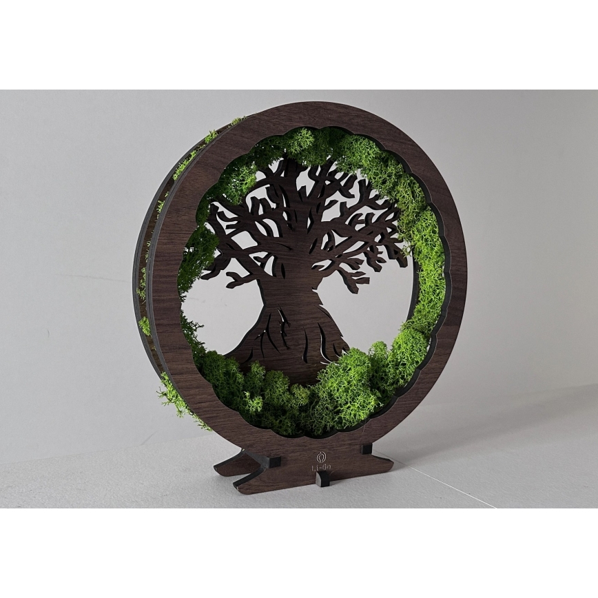 Li-Go 23604/DUB2 - димируема настолна LED декорация LED/12W/230V 20x22 cm дъб/мъх и дърво