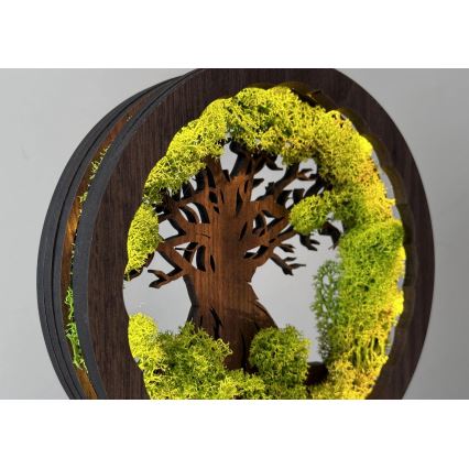 Li-Go 23604/DUB2 - димируема настолна LED декорация LED/12W/230V 20x22 cm дъб/мъх и дърво