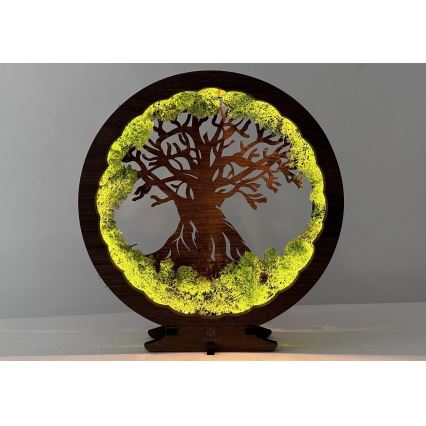 Li-Go 23631/DUB2 - Настолна LED декорация с димер LED/12W/230V 30x31 cm дъб/мъх и дърво