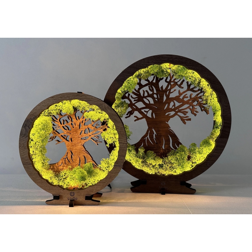 Li-Go 23631/DUB2 - Настолна LED декорация с димер LED/12W/230V 30x31 cm дъб/мъх и дърво