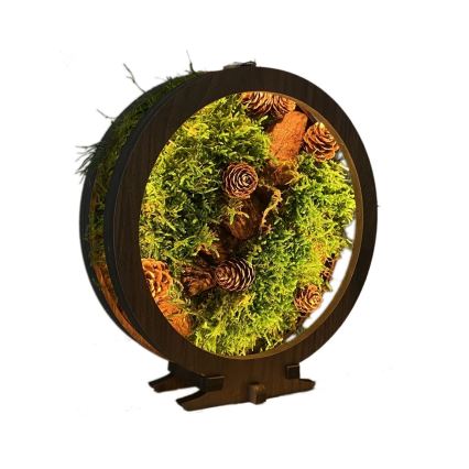 Li-Go 23654 - LED настолна декорация с регулируема яркост LED/12W/230V 20x22 cm орех/Мъхова композиция