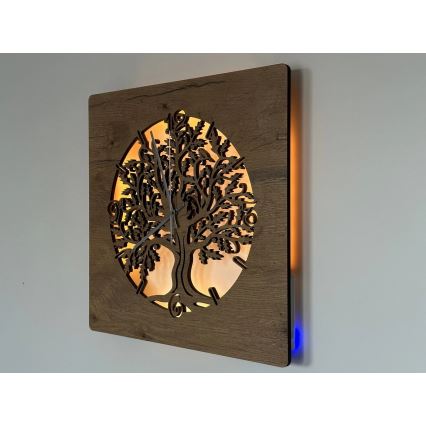 Li-Go 5652/DUB2 - LED часовник с регулируема яркост LED/10W/5V 20000 mAh 42x42 cm дъб/дъб в кръг + дистанционно управление