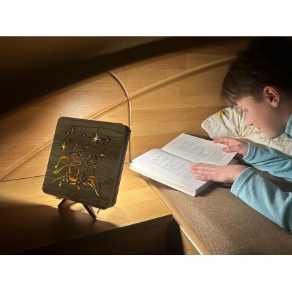 Li-Go 5788/DUB2 - LED настолна декорация LED/12W/230V 19x19 см дъб/Малкият принц