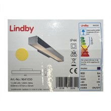 Lindby - LED Лампа за огледало в баня KIANA LED/11,2W/230V IP44