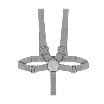 Lionelo - 4-в-1 детски стол за хранене DALIA SET, сив/натурален
