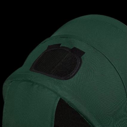 Lionelo - Детска триколка HAARI зелена/черна