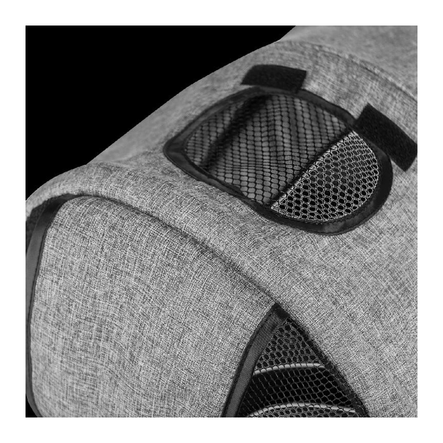 Lionelo - Детска триколка TRIS сива