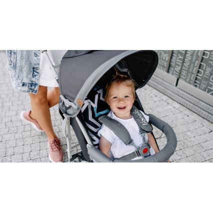 Lionelo - Детска количка ELIA сив