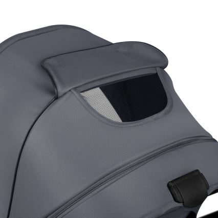 Lionelo - Комбинирана бебешка количка 2 в 1 AMBER PLUS Графит