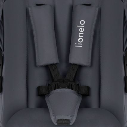 Lionelo - Комбинирана бебешка количка 2 в 1 AMBER PLUS Графит