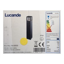 Lucande - LED Екстериорна лампа NICOLA LED/7W/230V IP54