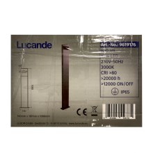 Lucande - LED Екстериорна лампа SILVAN LED/12W/230V IP65