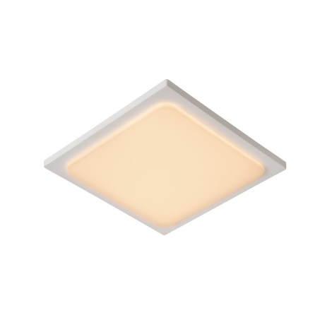 Lucide 28858/25/31 - LED За баня лампа ORAS LED/20W/230V бяла IP54