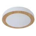Lucide 79179/12/72 - LED Димируем ceiling баня лампа DIMY LED/12W/230V