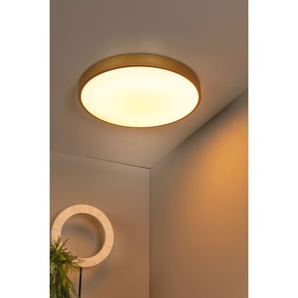 Lucide 79185/50/02 - LED Димируем плафон UNAR LED/36W/230V Ø 49,5 см златист