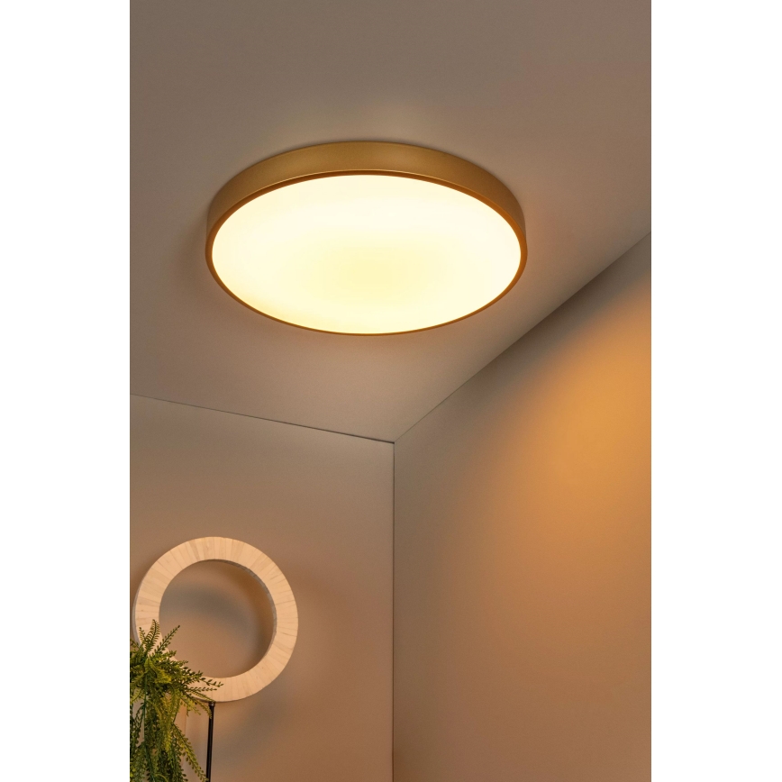 Lucide 79185/50/02 - LED Димируем плафон UNAR LED/36W/230V Ø 49,5 см златист