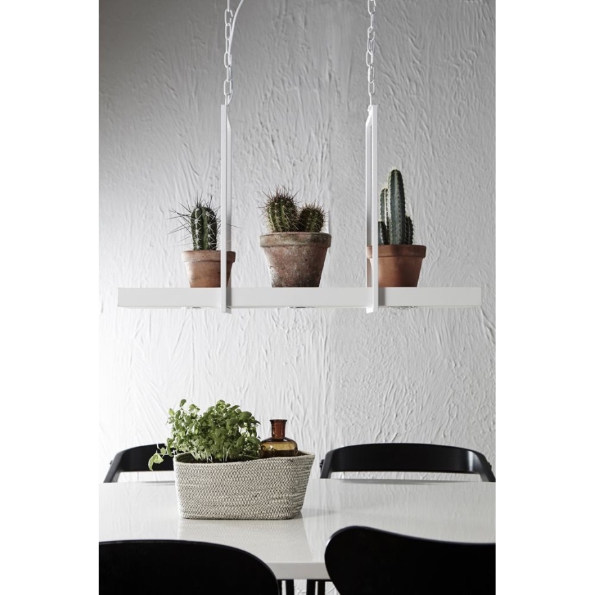 Markslöjd 106124 - LED Димируем Полилей на верижка TRAY 3xLED/3W/230V бяла