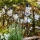 Markslöjd 107293 - LED Екстериорни декоративни лампички ГИРЛЯНДА GARDEN 10xLED 5,5 м IP44