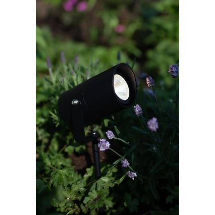 Markslöjd 108484 - LED външна лампа GARDEN24 LED/6W/24V 30 cm IP44 черна
