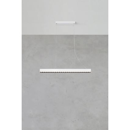 Markslöjd 108892 - PLANO LED/38W/230V пендант на кабел с възможност за димиране, бял