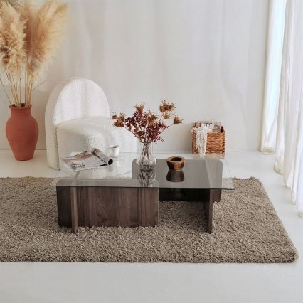 Масичка за кафе ESCAPE 30x105 см кафяв/прозрачен