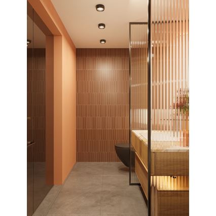 MAXLIGHT C0204 - LED Плафон за баня KODAK LED/8W/230V Ø 10,8 см IP44 черен