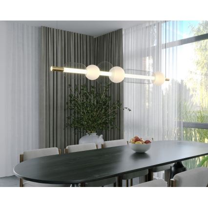 MAXLIGHT P0593 - LED Пендел BORA LED/29W/230V бял/черен