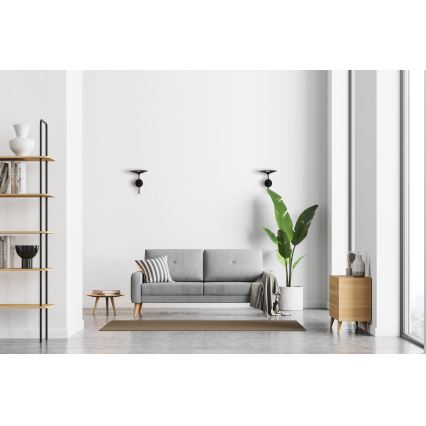 MAXLIGHT W0303 - LED Аплик HANA LED/6W/230V черен