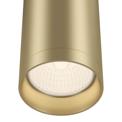 Maytoni C010CL-01MG - Спот FOCUS 1xGU10/50W/230V златист