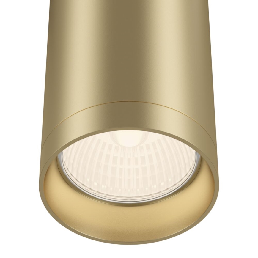 Maytoni C010CL-01MG - Спот FOCUS 1xGU10/50W/230V златист