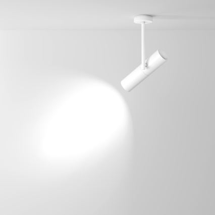 Maytoni C020CL-01W - Спот ELTI 1xGU10/50W/230V бял