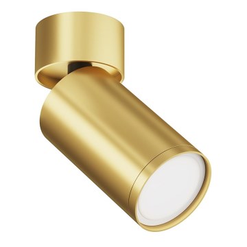 Maytoni C050CL-U-1MG - Спот FOCUS 1xGU10/10W/230V златист