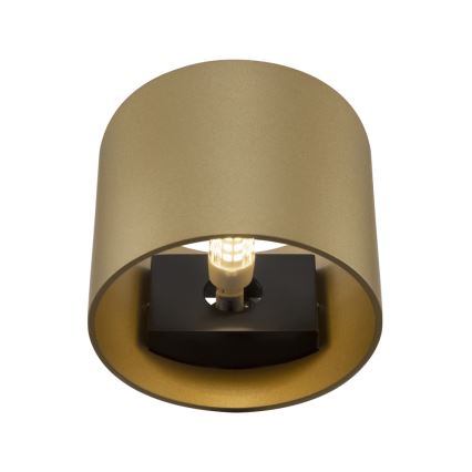 Maytoni C066WL-01MG - Аплик ROND 1xG9/50W/230V златист