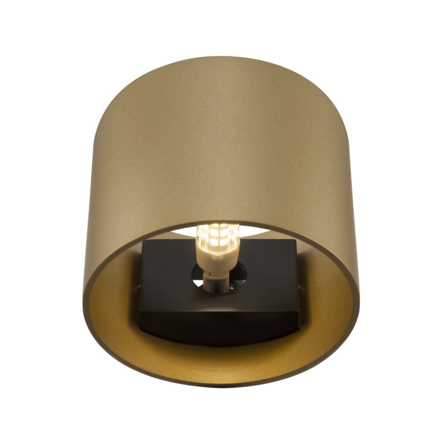 Maytoni C066WL-01MG - Аплик ROND 1xG9/50W/230V златист
