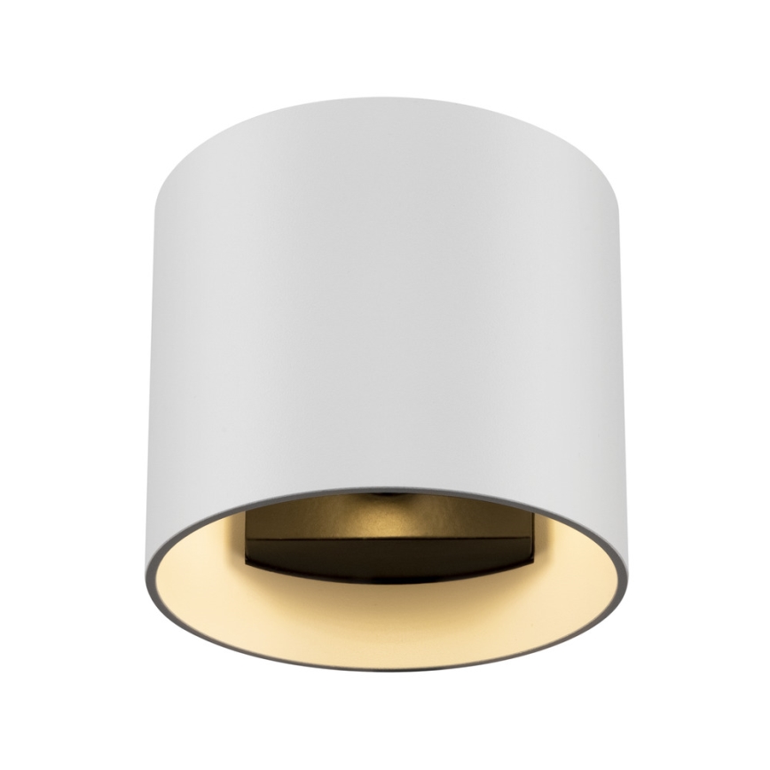 Maytoni C066WL-01W - Аплик ROND 1xG9/50W/230V бял