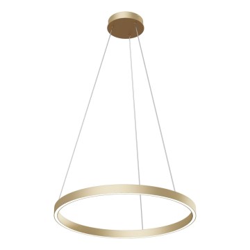 Maytoni MOD058PL-L32BS4K - LED Пендел RIM LED/37W/230V 4000K Ø 60 см златист