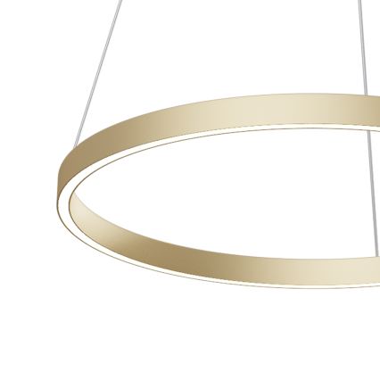 Maytoni MOD058PL-L32BS4K - LED Пендел RIM LED/37W/230V 4000K Ø 60 см златист