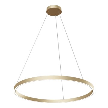 Maytoni MOD058PL-L42BS4K - LED Пендел RIM LED/51W/230V 4000K Ø 80 см златист