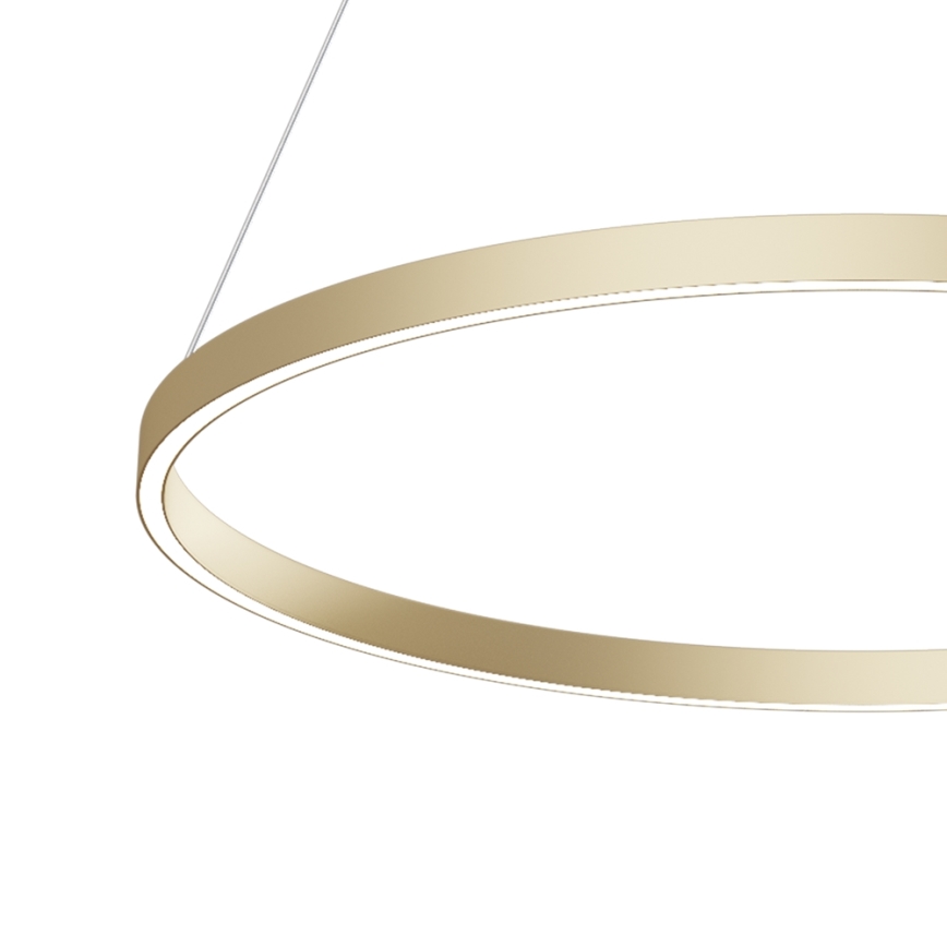 Maytoni MOD058PL-L42BS4K - LED Пендел RIM LED/51W/230V 4000K Ø 80 см златист