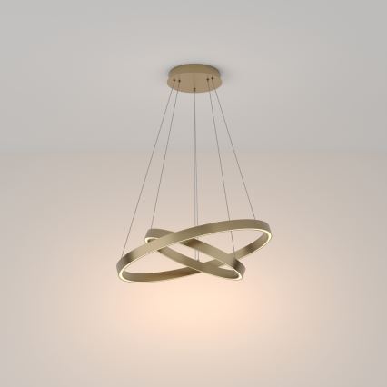 Maytoni MOD058PL-L55BS3K - LED Пендел RIM LED/61W/230V 3000K Ø 60 см златист