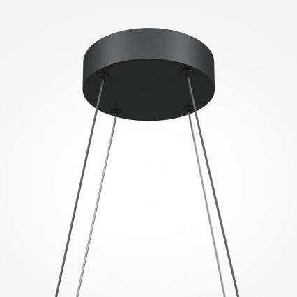 Maytoni MOD244PL-L50BK - LED полилей на кабел HALO LED/40W/230V черен