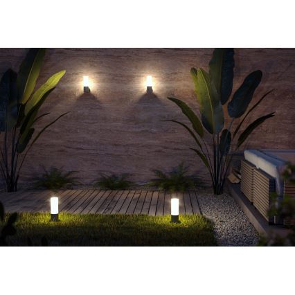 Maytoni O418WL-01GR - Екстериорен аплик WILLIS 1xE27/60W/230V IP54 антрацит