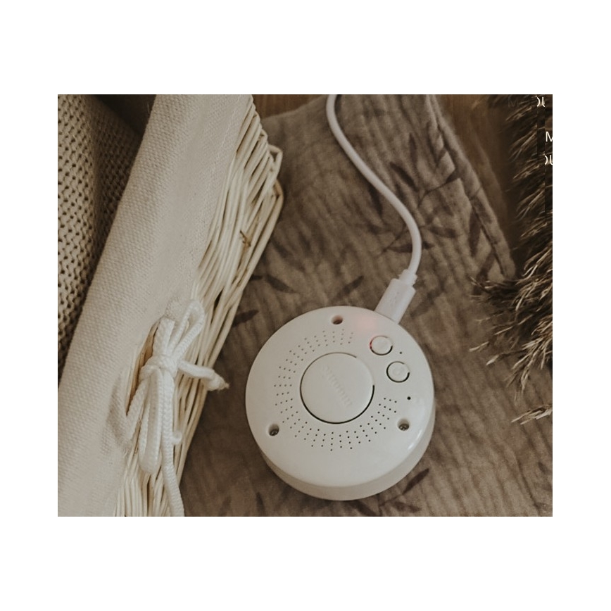 Moonie - Приятел за гушкане с мелодия и светлина зайче powder