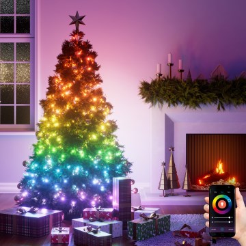 Nanoleaf - LED RGBW Външна гирлянда ESSENTIALS 300xLED 2x12m 2700-6500K Wi-Fi IP67