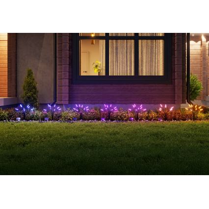 Nanoleaf - комплект от 2 соларни LED RGBW лампи, 1200 mAh, IP65 + дистанционно управление
