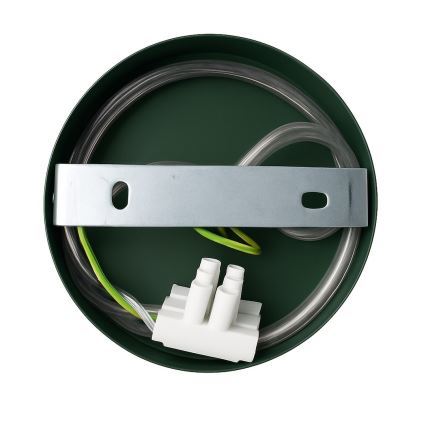 Настенна лампа CAPITAL 1xGX53/15W/230V зелена